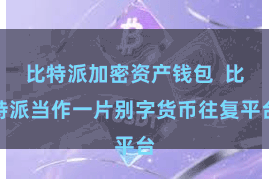 比特派加密资产钱包 比特派当作一片别字货币往复平台